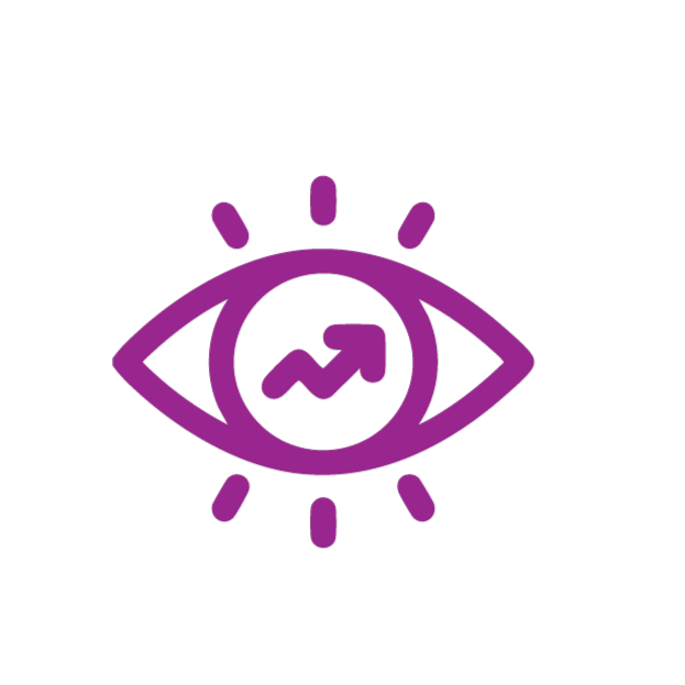 Vision icon